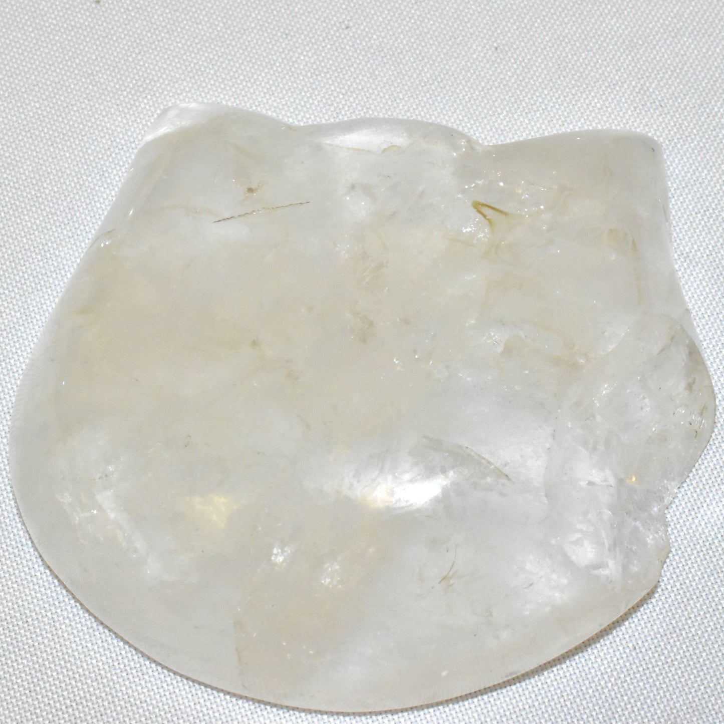 Special Price-Crystal Cat Heads