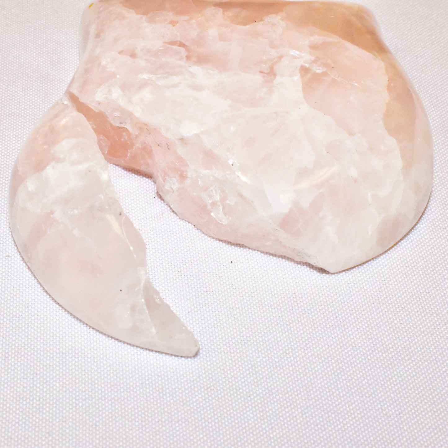 Special Price-Crystal Cat Heads