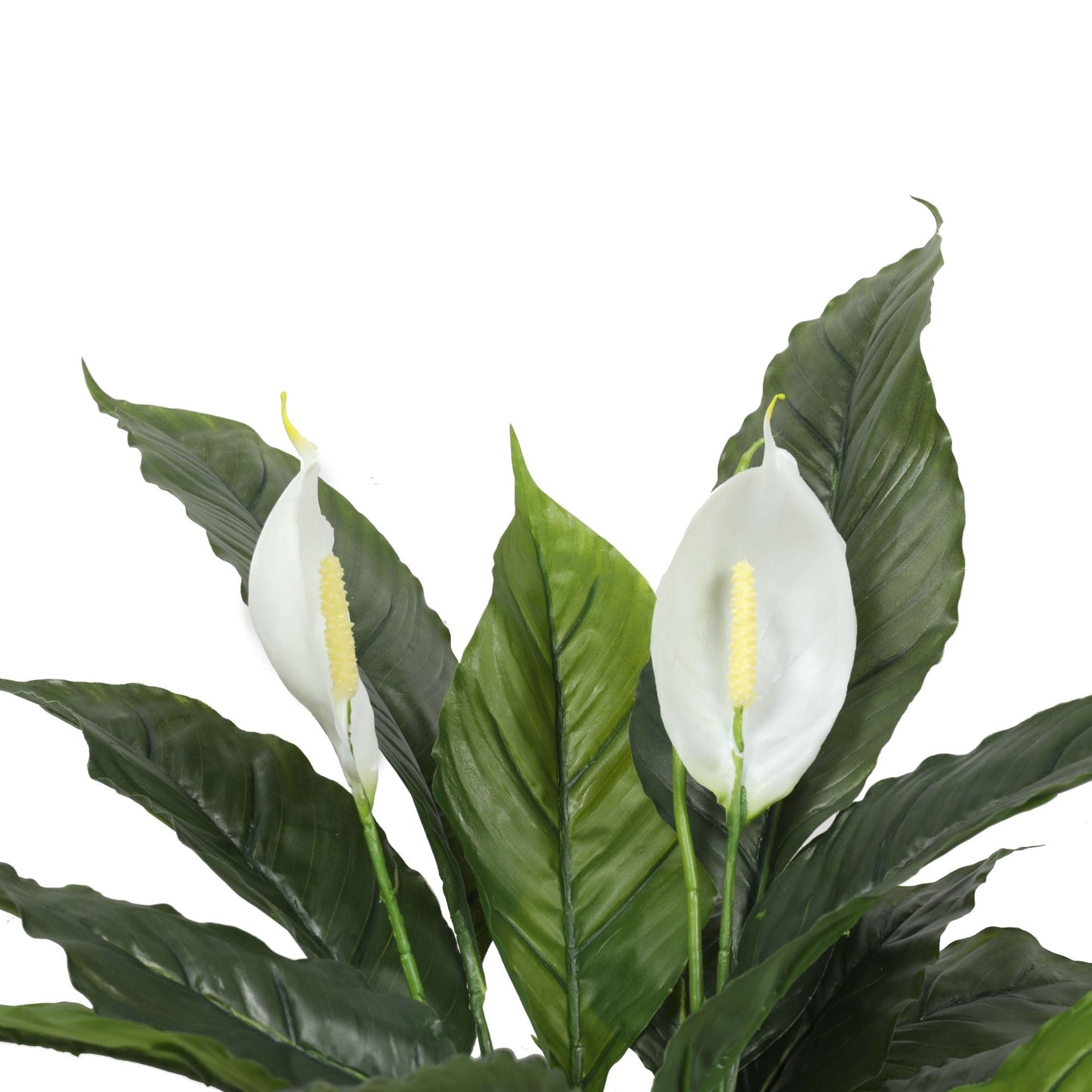Artificial Spathiphyllum Peace Lily Plant With White Flowers 60cm